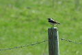 19 04 15_3320_edited-1